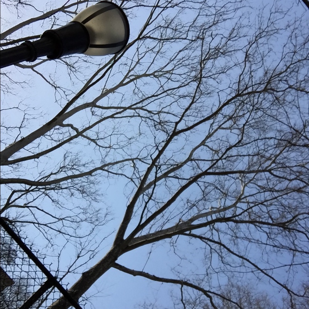 Meet your Posher, Raven